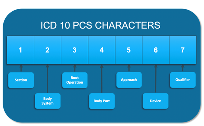 Diagram of ICD-10 Procedure Codes