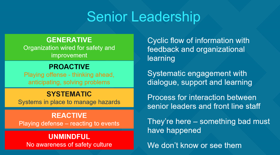 Sample of the Cultural Maturity Model: Senior Leadership