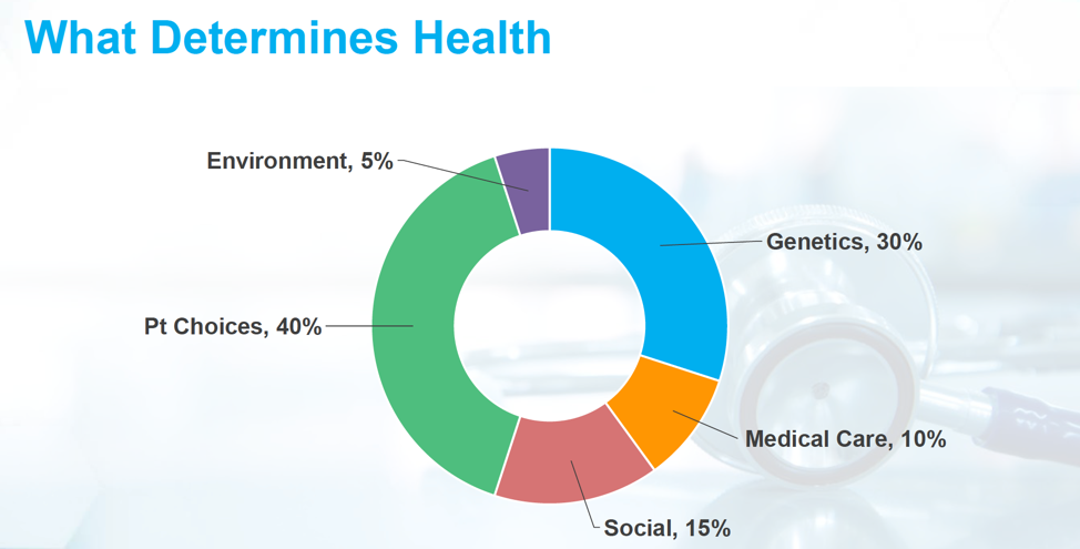 Graphic of breakdown of social determinants of health
