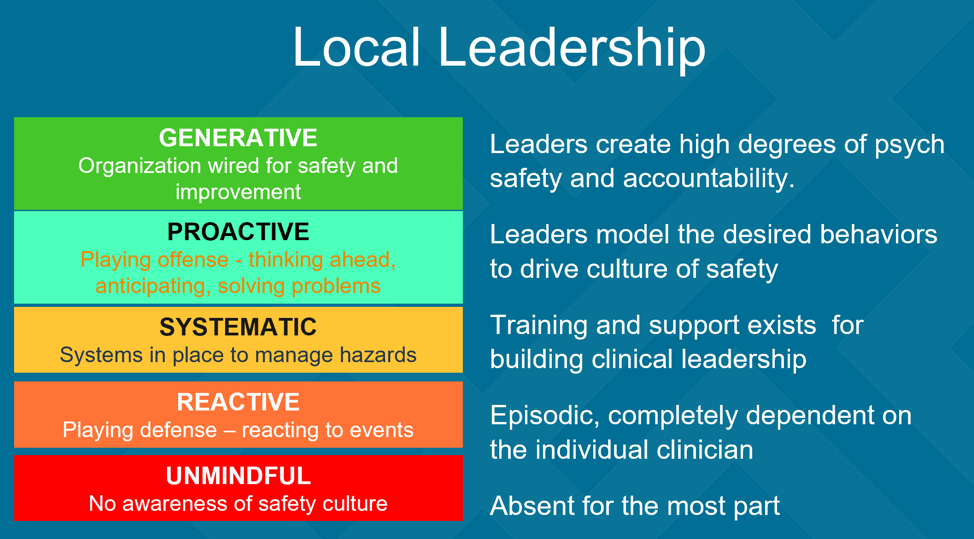 Sample of Cultural Maturity Model: Local Leadership