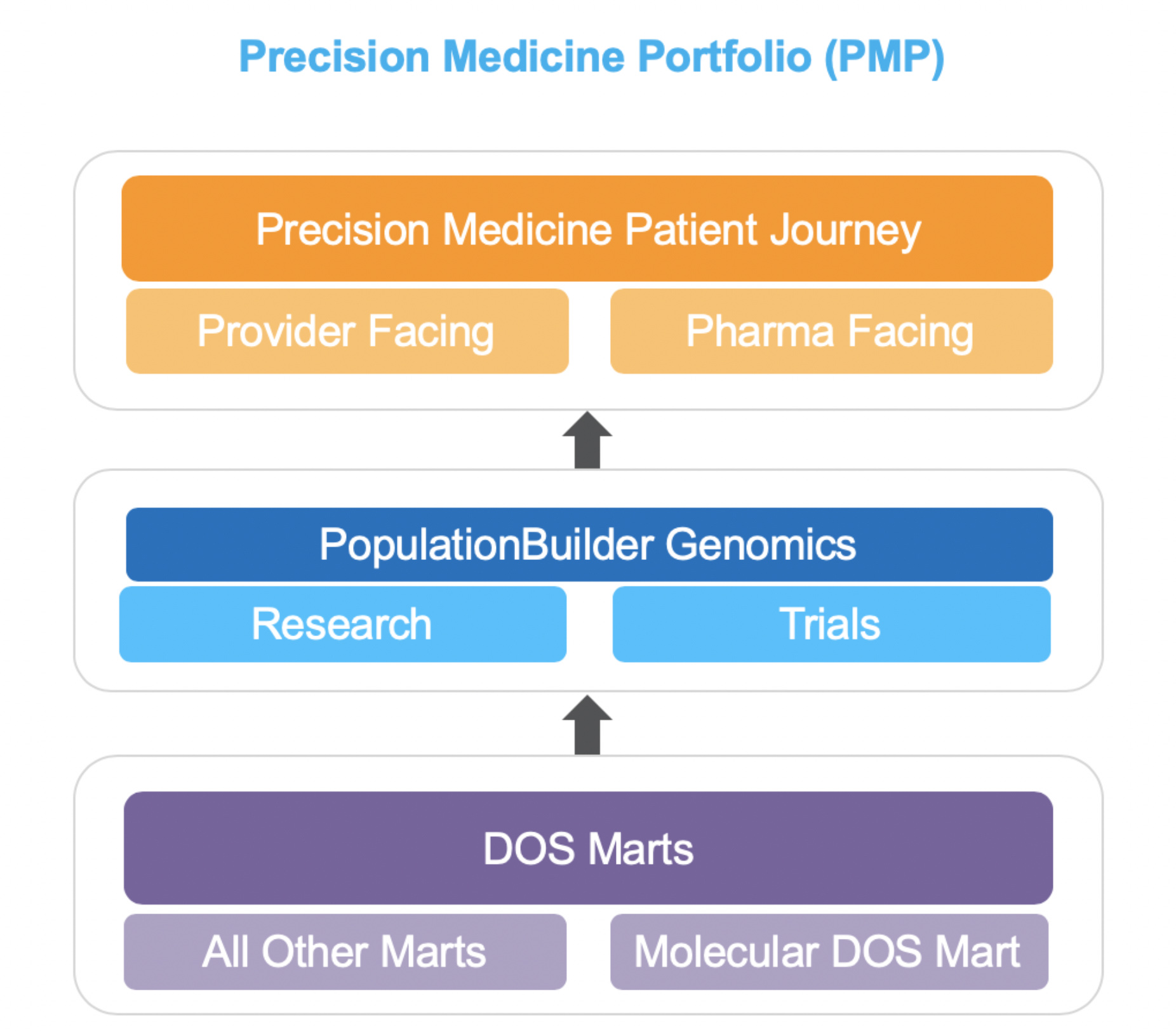 data-driven precision medicine - Diagram of Precision Medicine Portfolio