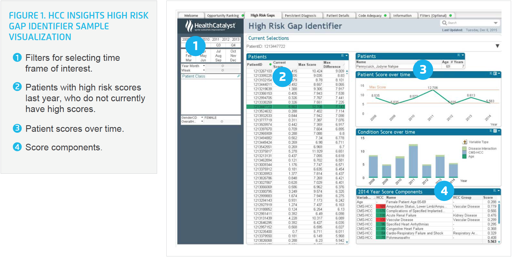HCC-Insights-high-risk-gap-identifier-sample-visualization